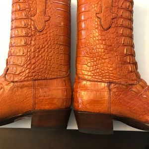 American hornback alligator